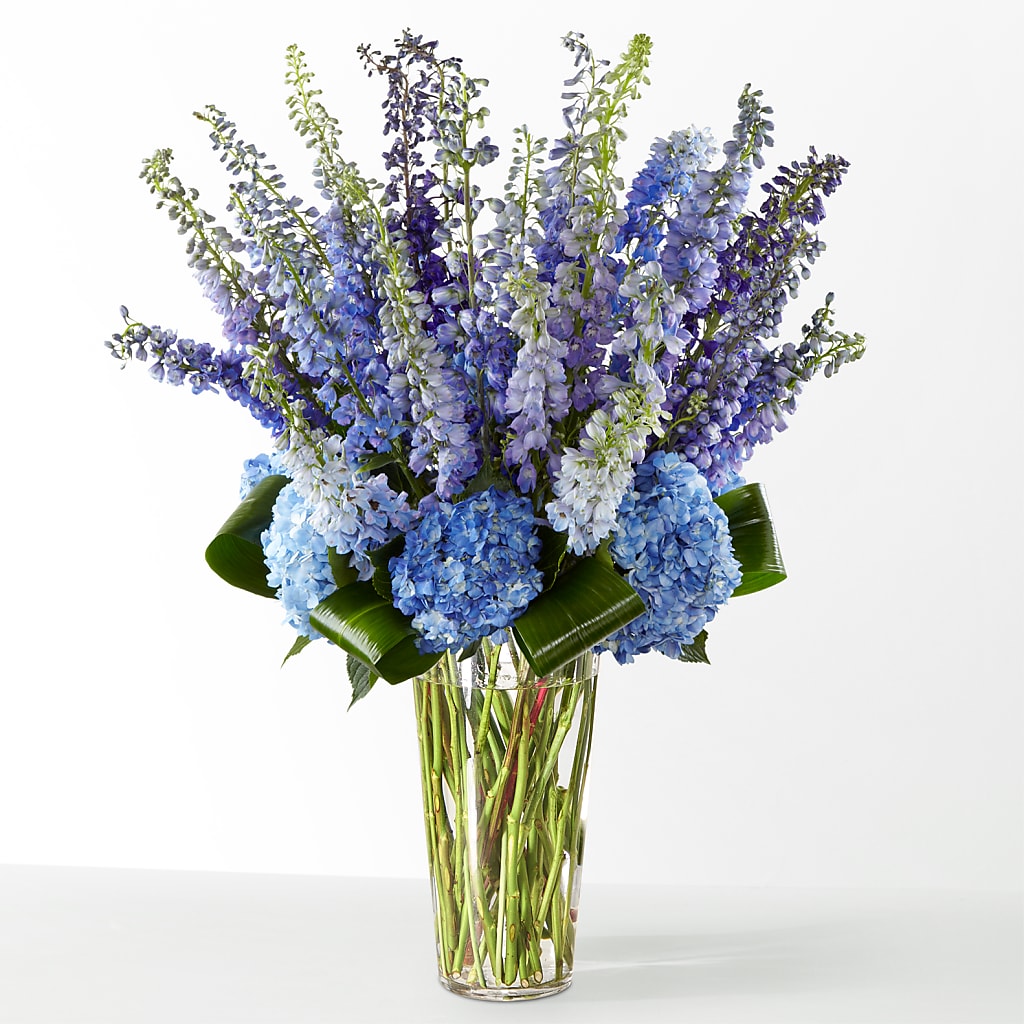 The Editorial – Flora Bloom, Menifee CA
