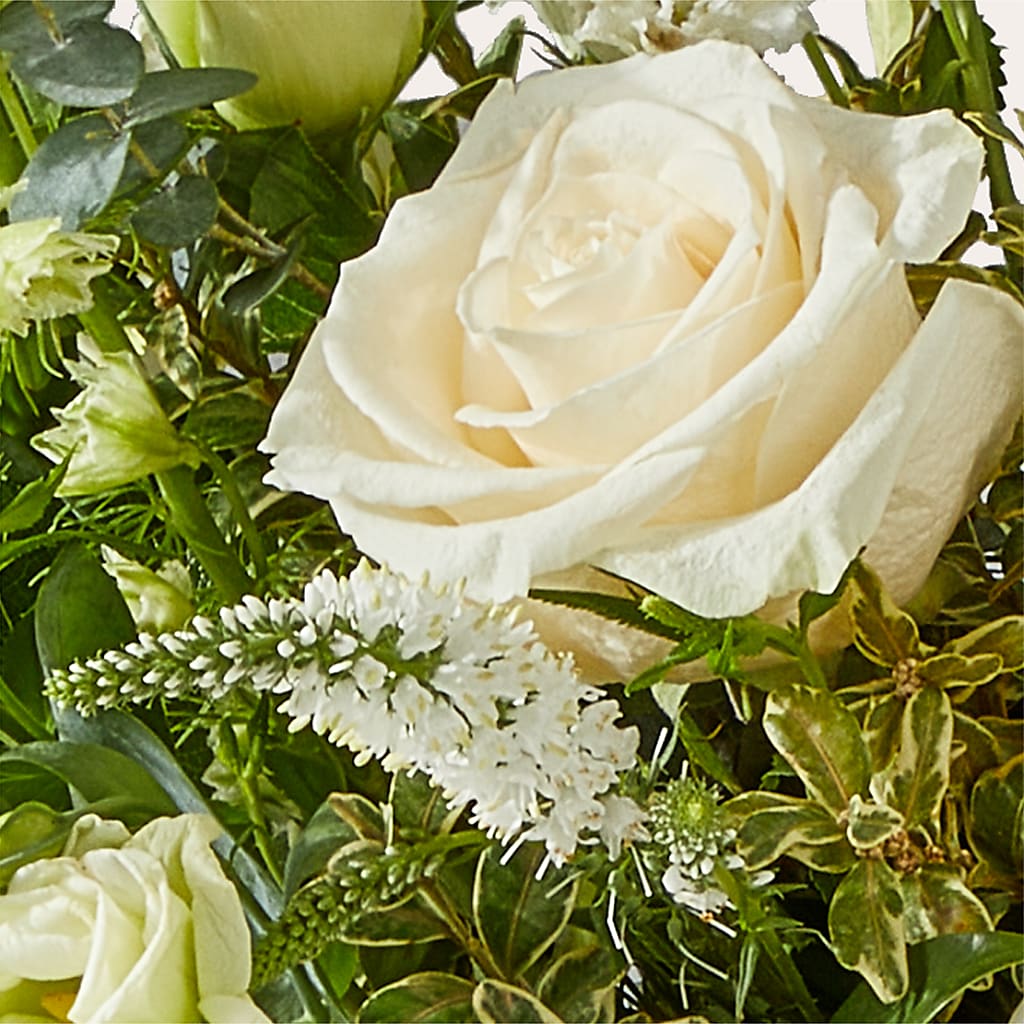 Cashmere Bouquet –  Flora Bloom, Menifee CA