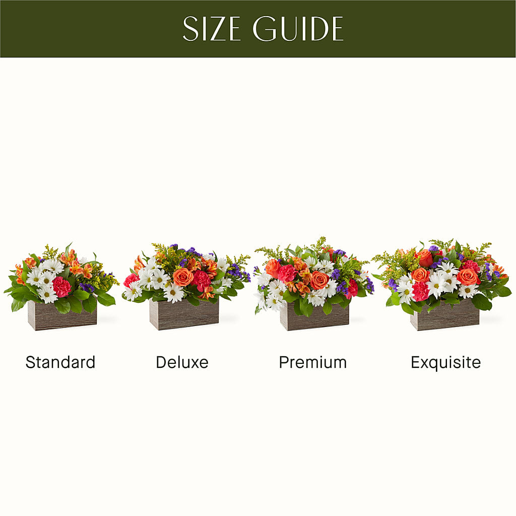 Oopsie Daisy Box Bouquet –  Flora Bloom, Menifee CA