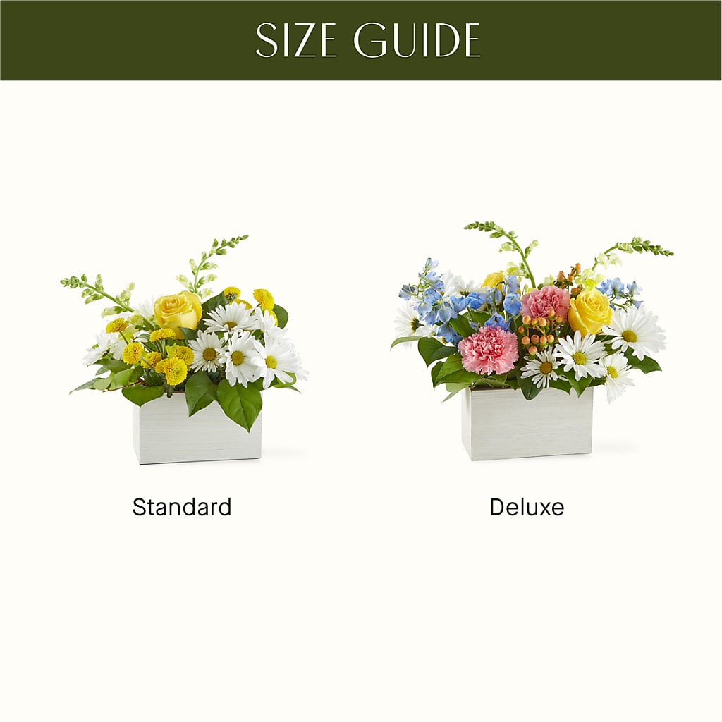 Sun Salutation Box Bouquet –  Flora Bloom, Menifee CA