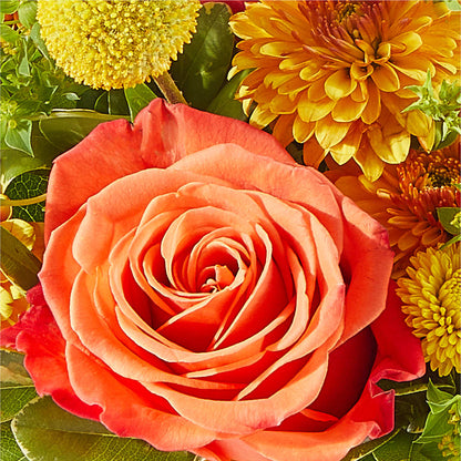 Gourdgeous Pumpkin –  Flora Bloom, Menifee CA