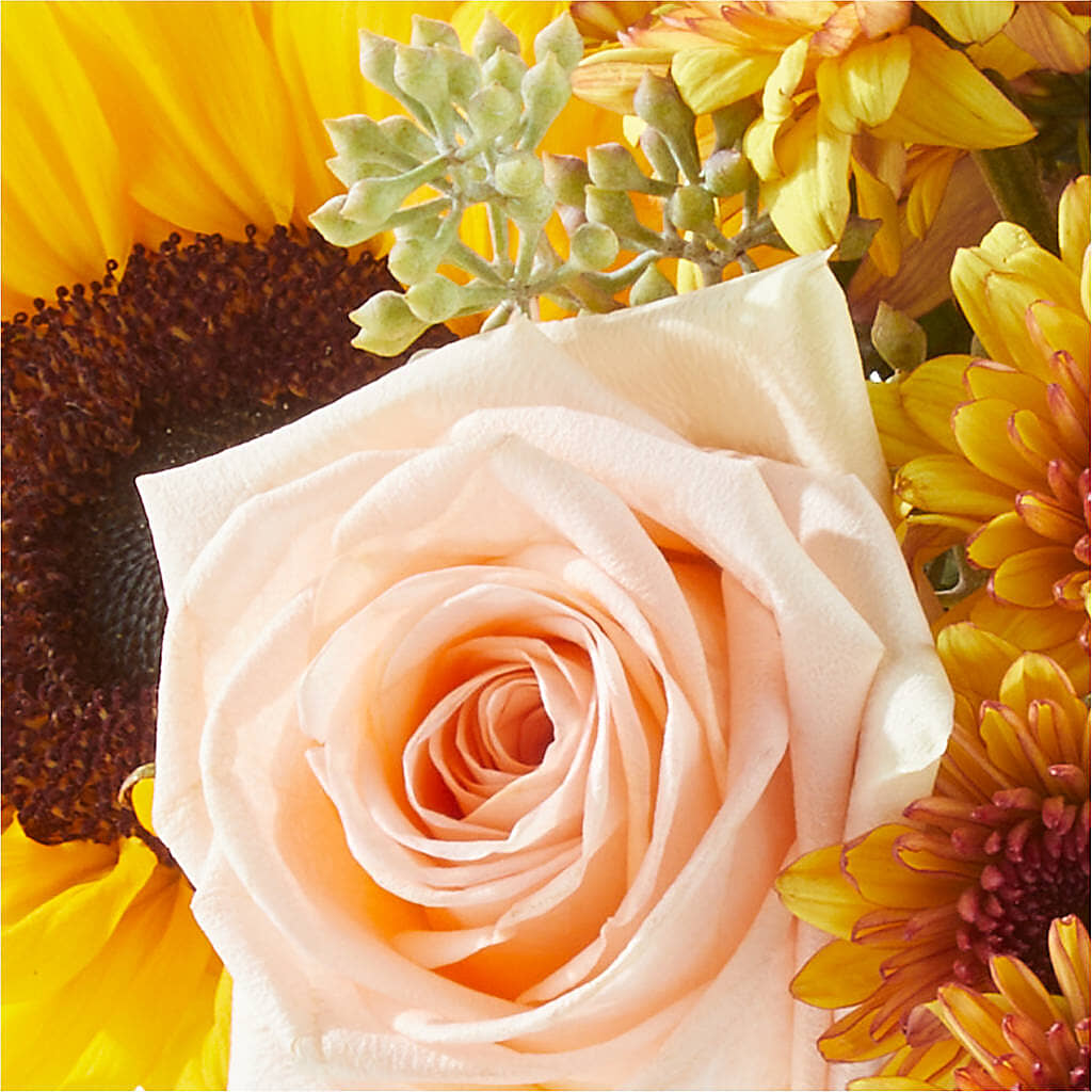 Pumpkin to Talk About Bouquet –  Flora Bloom, Menifee CA