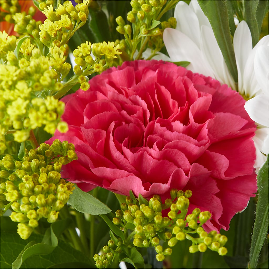 Oopsie Daisy Bouquet –  Flora Bloom, Menifee CA
