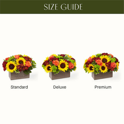Happy Harvest Garden –  Flora Bloom, Menifee CA