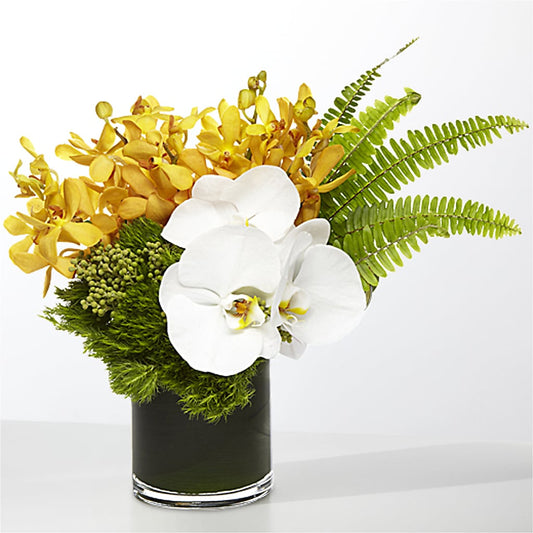 The Tropics –  Flora Bloom, Menifee CA