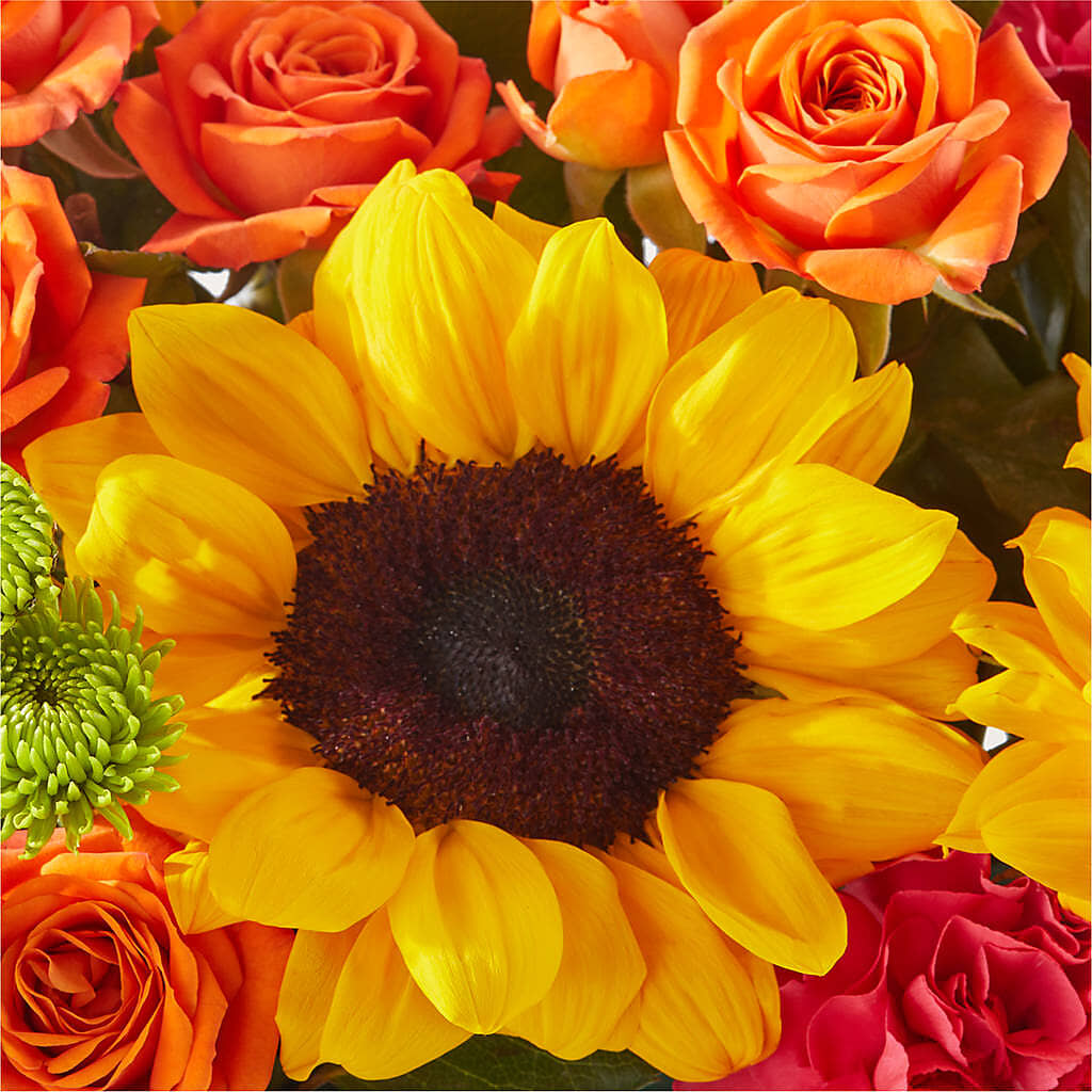 Sun-drenched Blooms Box Bouquet –  Flora Bloom, Menifee CA