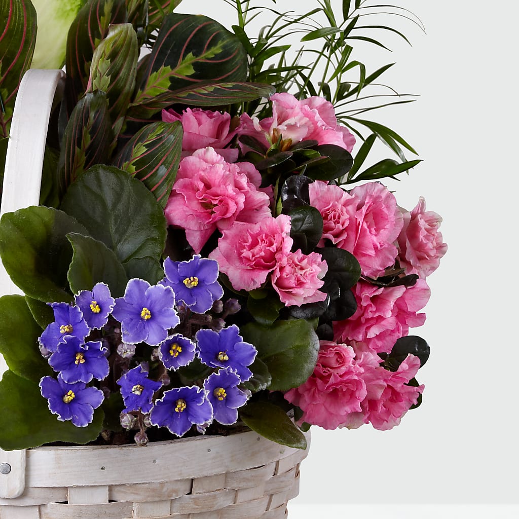 Peaceful Garden Planter –  Flora Bloom, Menifee CA