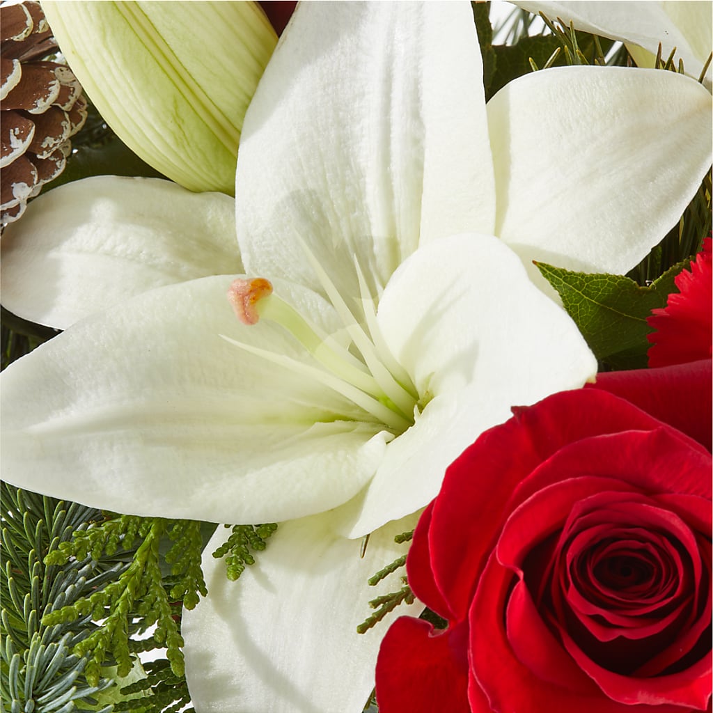Oh So Jolly Bouquet –  Flora Bloom, Menifee CA