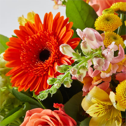 Autumn Sunshine Bouquet –  Flora Bloom, Menifee CA