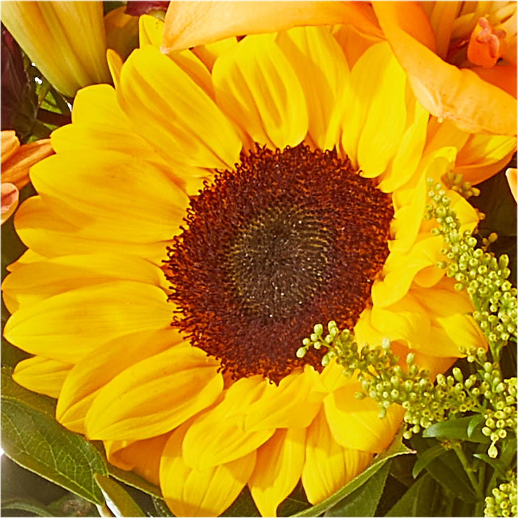 Seasons Change Bouquet –  Flora Bloom, Menifee CA