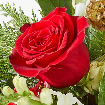 Deck the Halls Bouquet –  Flora Bloom, Menifee CA