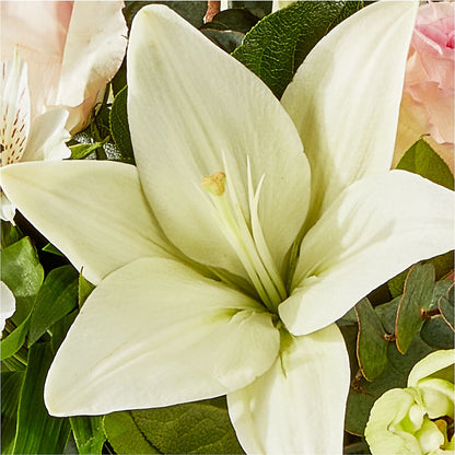 Ballet Slippers Bouquet –  Flora Bloom, Menifee CA