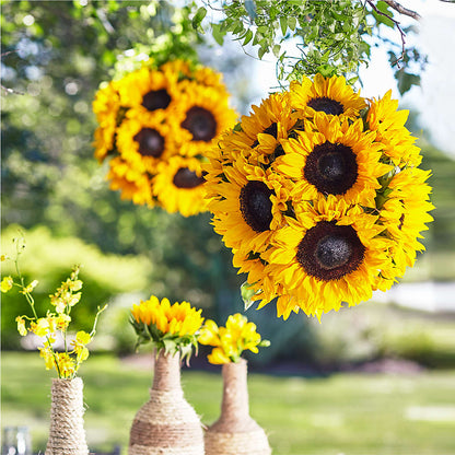 Sublime Garden Hanging Arrangement –  Flora Bloom, Menifee CA